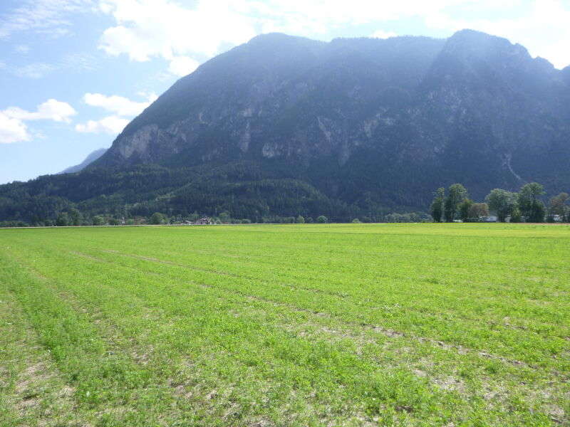 Landwirtschaft in 9900 Lienz - 5