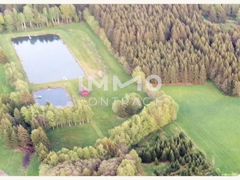 Landwirtschaftsgrund in 3632 Bad Traunstein - 6