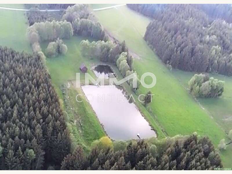 Landwirtschaftsgrund in 3632 Bad Traunstein - 14