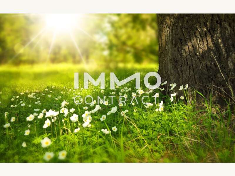 Grundstück in 7464 Markt Neuhodis - 1