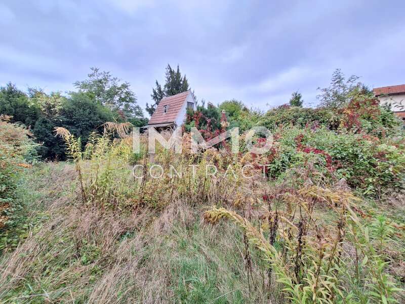 Bungalow in 2201 Gerasdorf bei Wien - 13