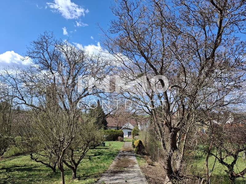 Einfamilienhaus in 7432 Oberschützen - 2