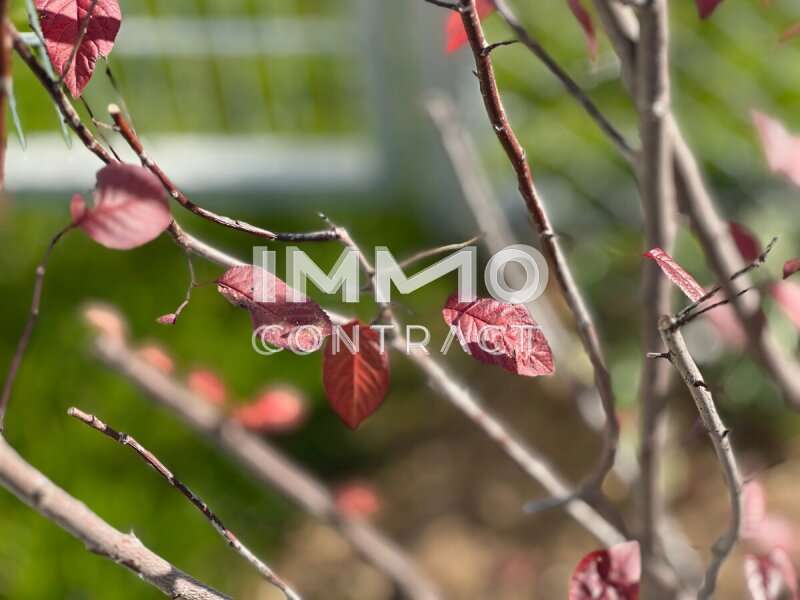 Eigentumswohnung in 3500 Krems an der Donau - 7