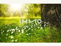 Grundstück in Markt Neuhodis