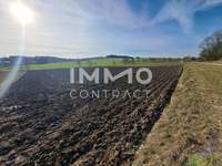 Landwirtschaftsgrund in Neukirchen bei Lambach
