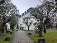 Stellplatz in Thalheim bei Wels
