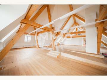 Büro in Mannswörth /  Bruck an der Leitha