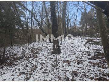 Baugrund in Pressbaum /  Sankt Pölten (Land)