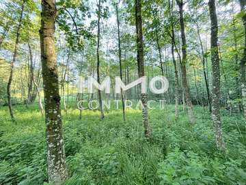 Landwirtschaftsgrund in Ardagger Stift /  Amstetten