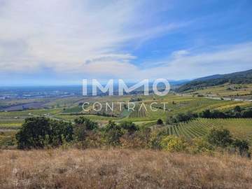 Baugrund in Gumpoldskirchen /  M&ouml;dling