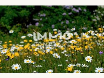 Eigentumswohnung in Linz /  Linz