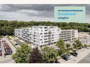 Eigentumswohnung in St. Pölten /  Sankt Pölten (Stadt)