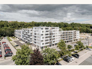 Terrassenwohnung in St.Pölten /  Sankt Pölten (Stadt)