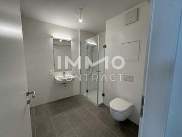 Dachgeschosswohnung in Wien /  1220 Wien - Donaustadt