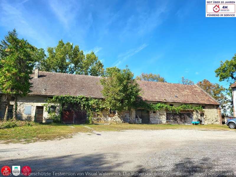 Mehrfamilienhaus in 2452 Wasenbruck - 9