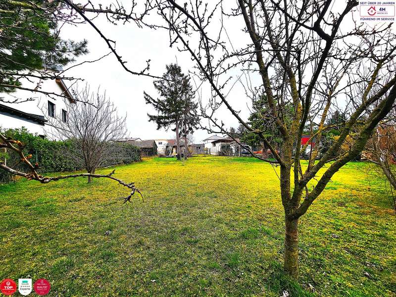 Baugrund in 2283 Obersiebenbrunn - 1