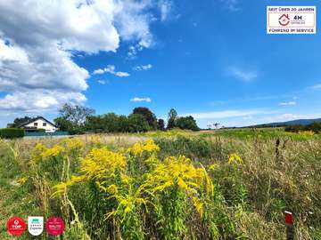 Baugrund in Wiener Neustadt /  Wiener Neustadt