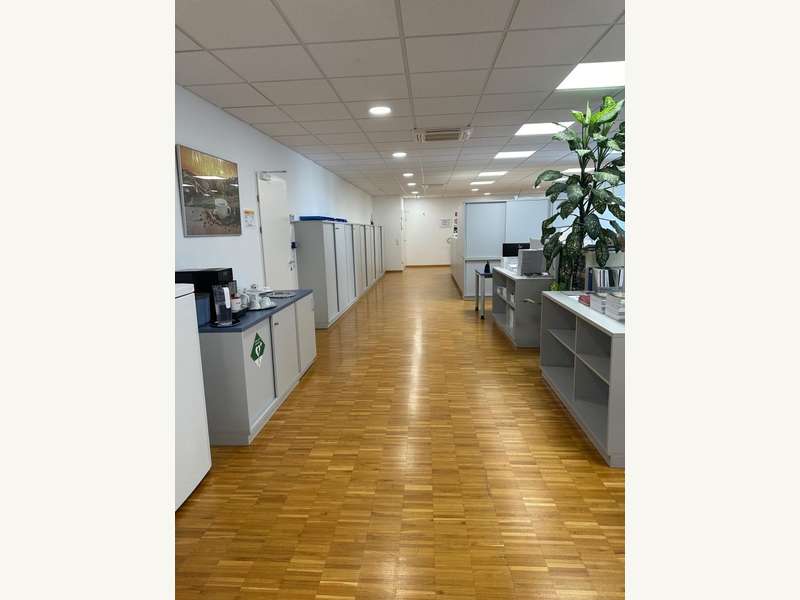 Halle in 4030 Linz - 4