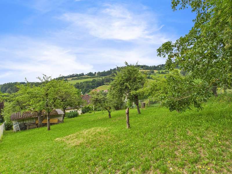 Baugrund in 4040 Linz - 5