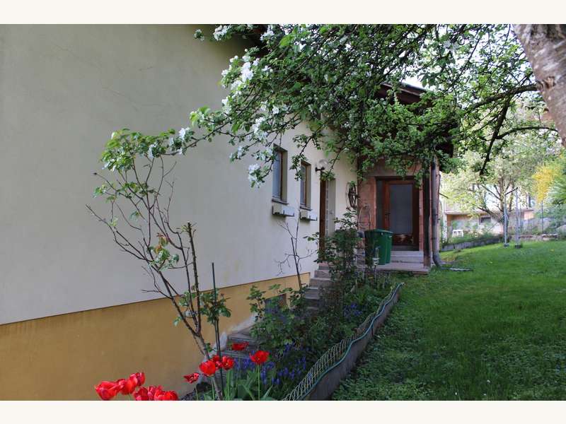 Einfamilienhaus in 4722 Peuerbach - 3