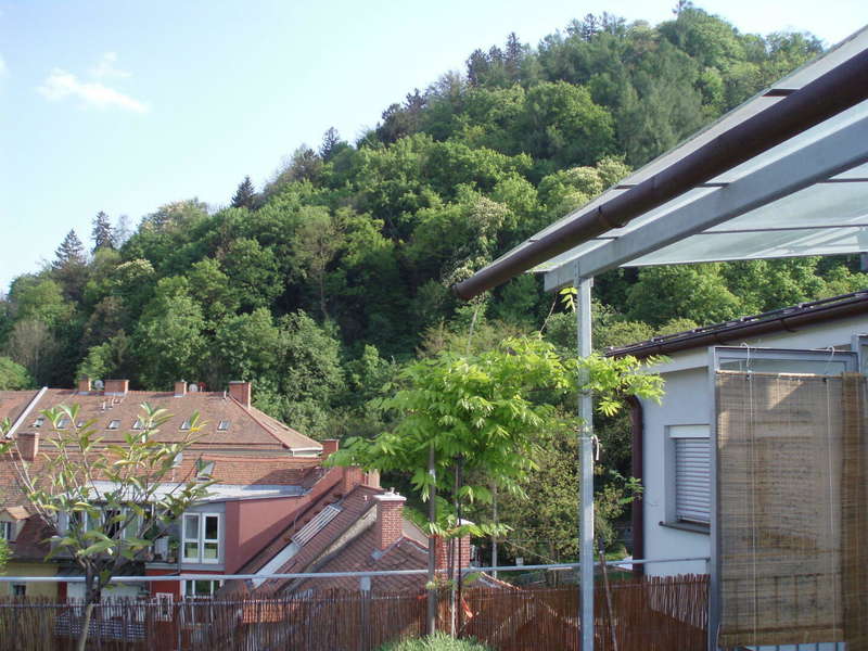 Maisonette in 8010 Graz - 30