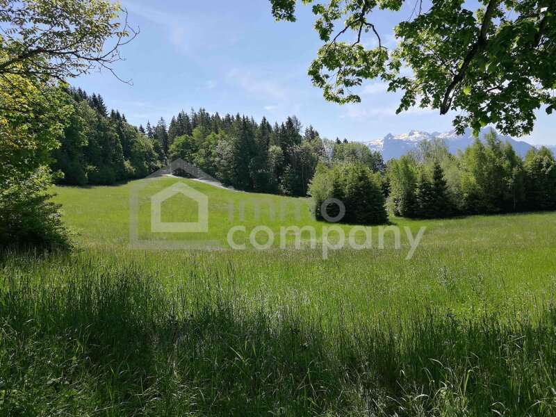 Landwirtschaft in 5020 Salzburg - 3