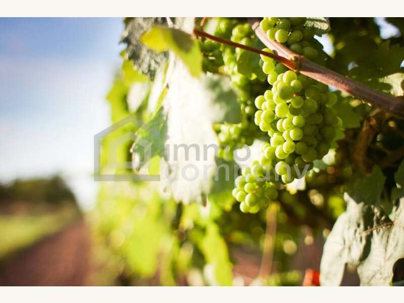 Landwirtschaft in 1100 Wien - 1