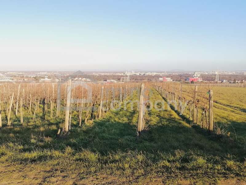 Landwirtschaft in 1100 Wien - 2