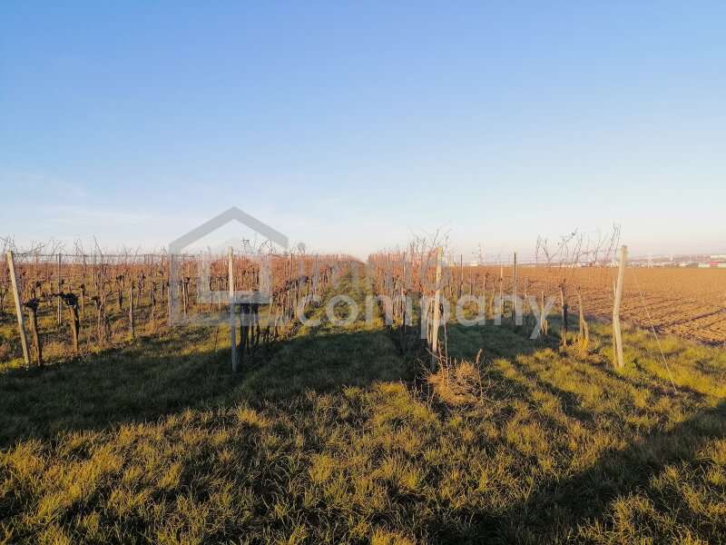 Landwirtschaft in 1100 Wien - 3