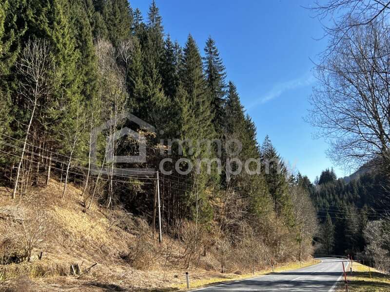 Forstwirtschaft in 9375 Hüttenberg - 1