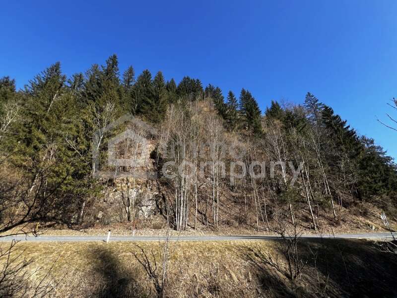 Forstwirtschaft in 9375 Hüttenberg - 2