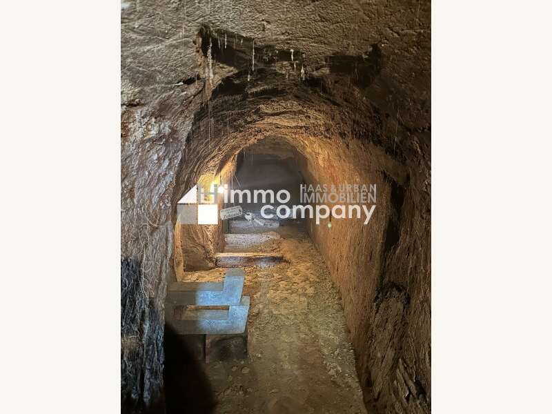 Gewerbeimmobilie in 1210 Wien - 4