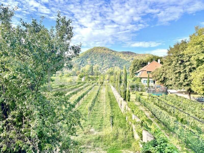 Pension in 3601 Dürnstein - 4