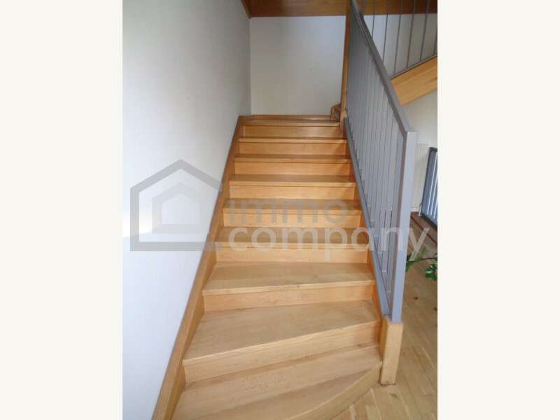 Halle in 2020 Hollabrunn - 5