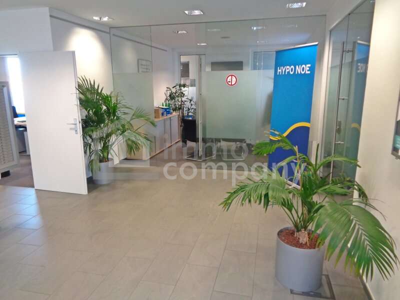 Halle in 2020 Hollabrunn - 9