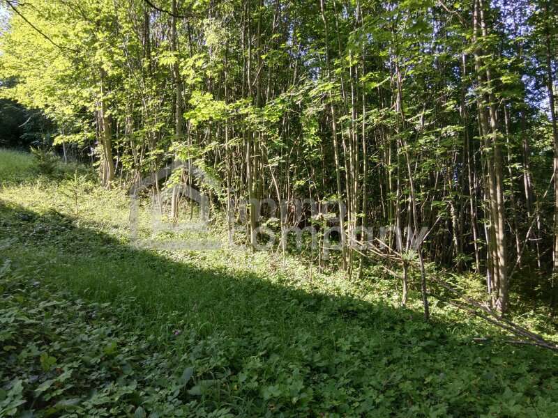 Baugrund in 2680 Semmering - 3