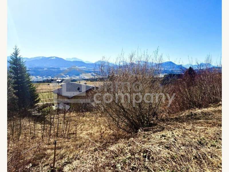 Baugrund in 5303 Thalgauberg - 4