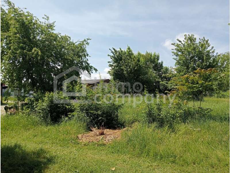 Grundstück in 7161 Sankt Andrä am Zicksee - 2