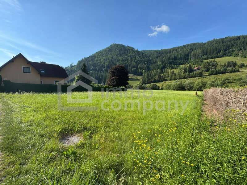 Baugrund in 8611 Sankt Katharein an der Laming - 3