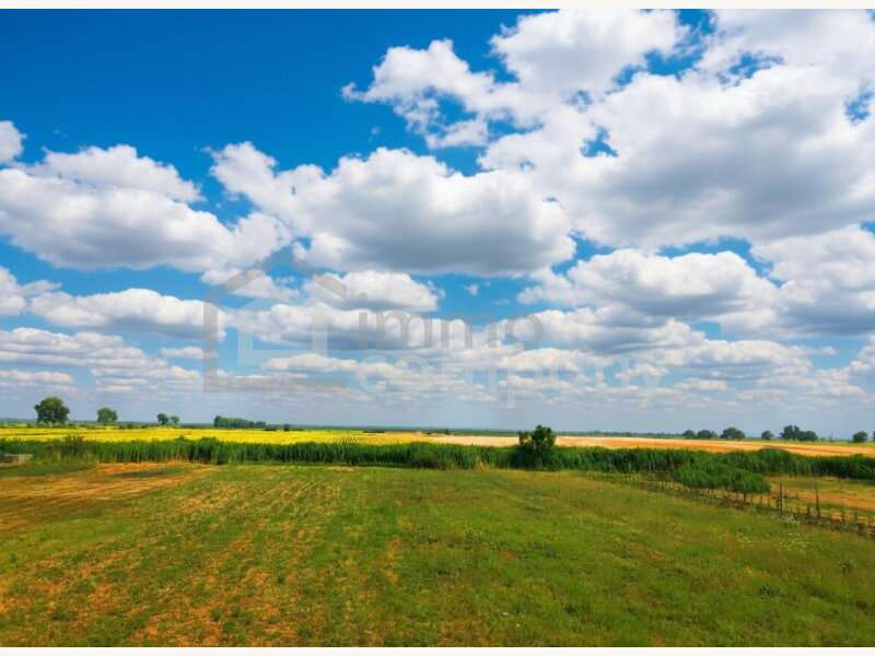 Baugrund in 7092 Winden am See - 1