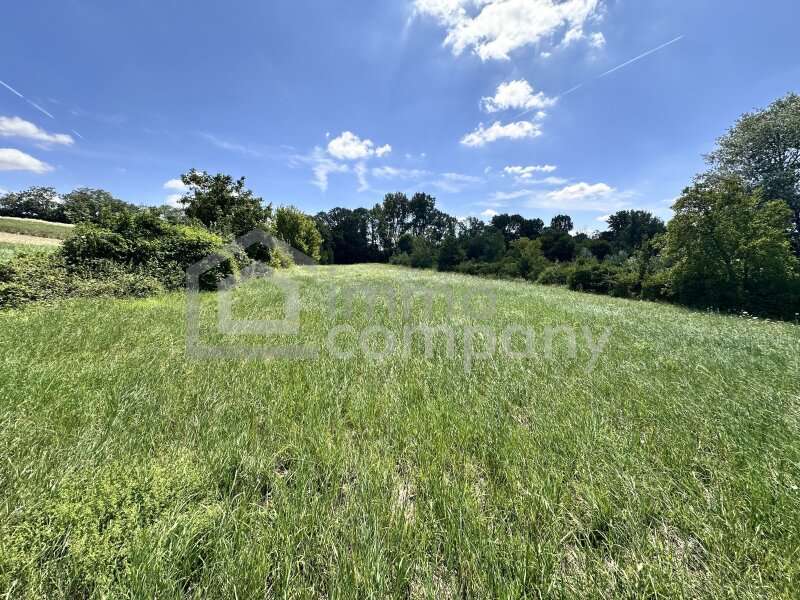 Grundstück in 2472 Prellenkirchen - 5