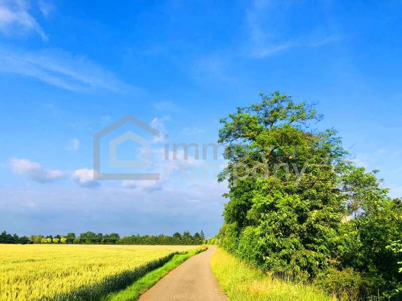 Landwirtschaftsgrund in 2424 Zurndorf - 1