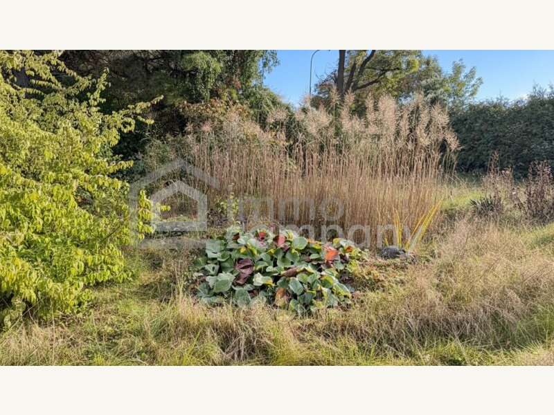 Baugrund in 2721 Bad Fischau-Brunn - 4
