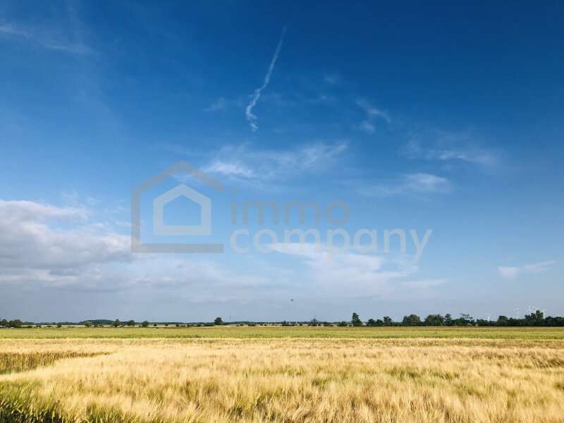 Landwirtschaftsgrund in 2422 Pama - 1