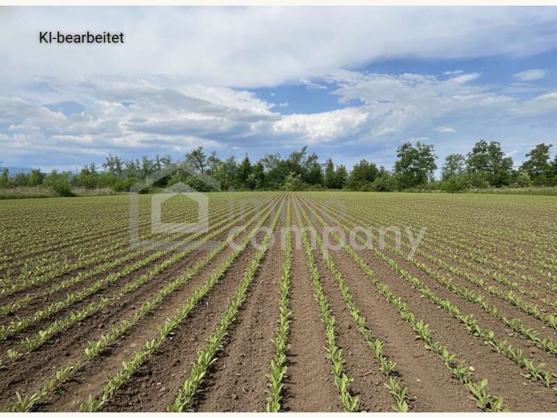 Landwirtschaftsgrund in 2601 Sollenau - 1