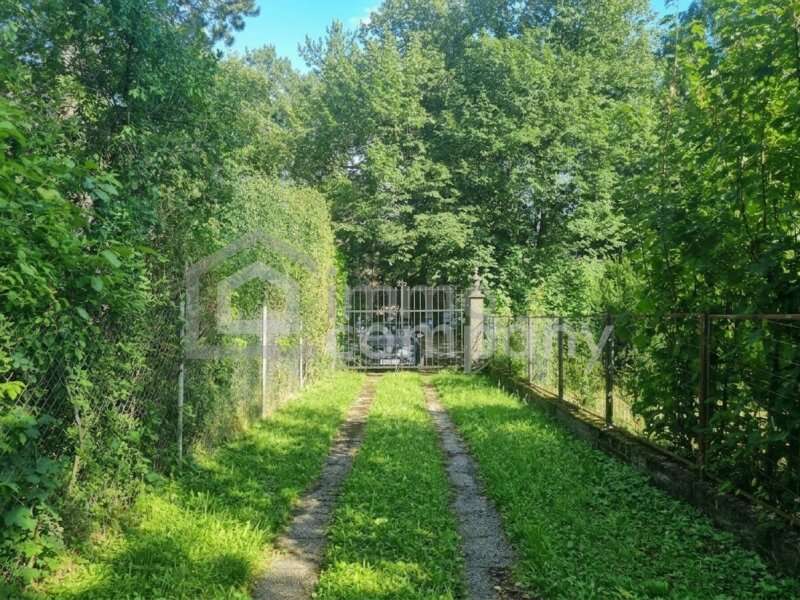 Baugrund in 2381 Laab im Walde - 3