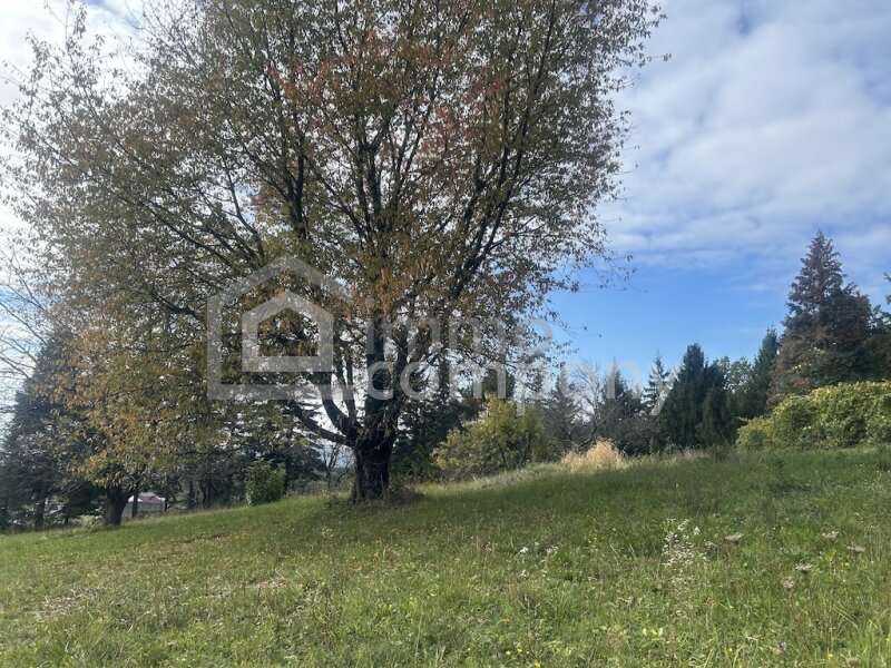 Bauernhaus in 7561 Poppendorf im Burgenland - 9