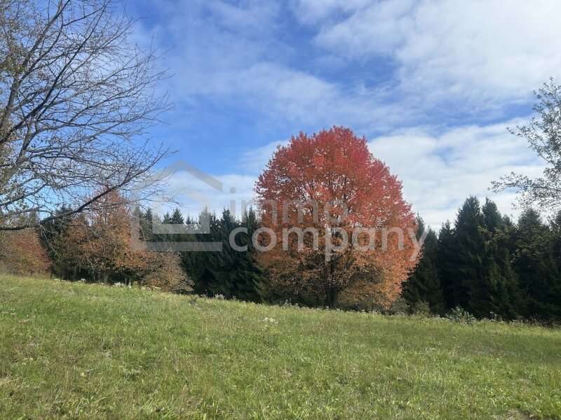Bauernhaus in 7561 Poppendorf im Burgenland - 11
