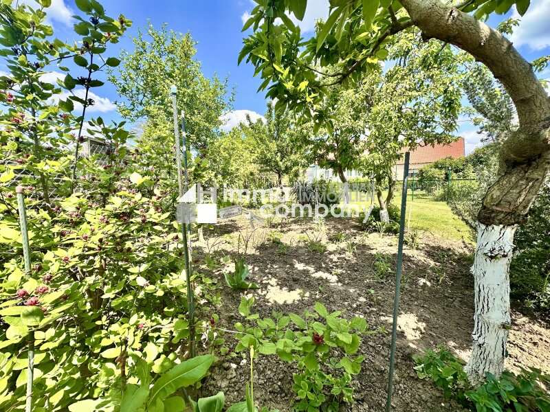 Einfamilienhaus in 2241 Schönkirchen-Reyersdorf - 4
