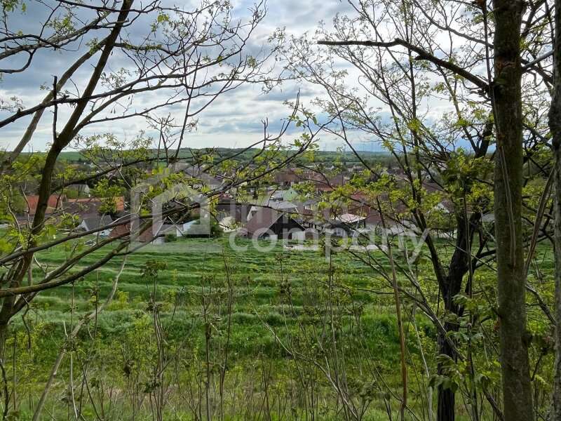 Einfamilienhaus in 2276 Reintal - 1
